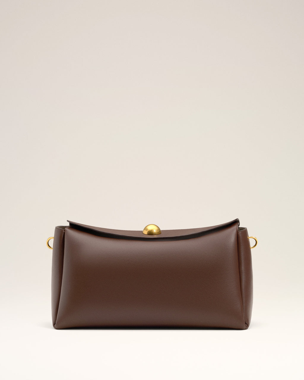 Brown Smooth Leather Carrousel Medium Bag