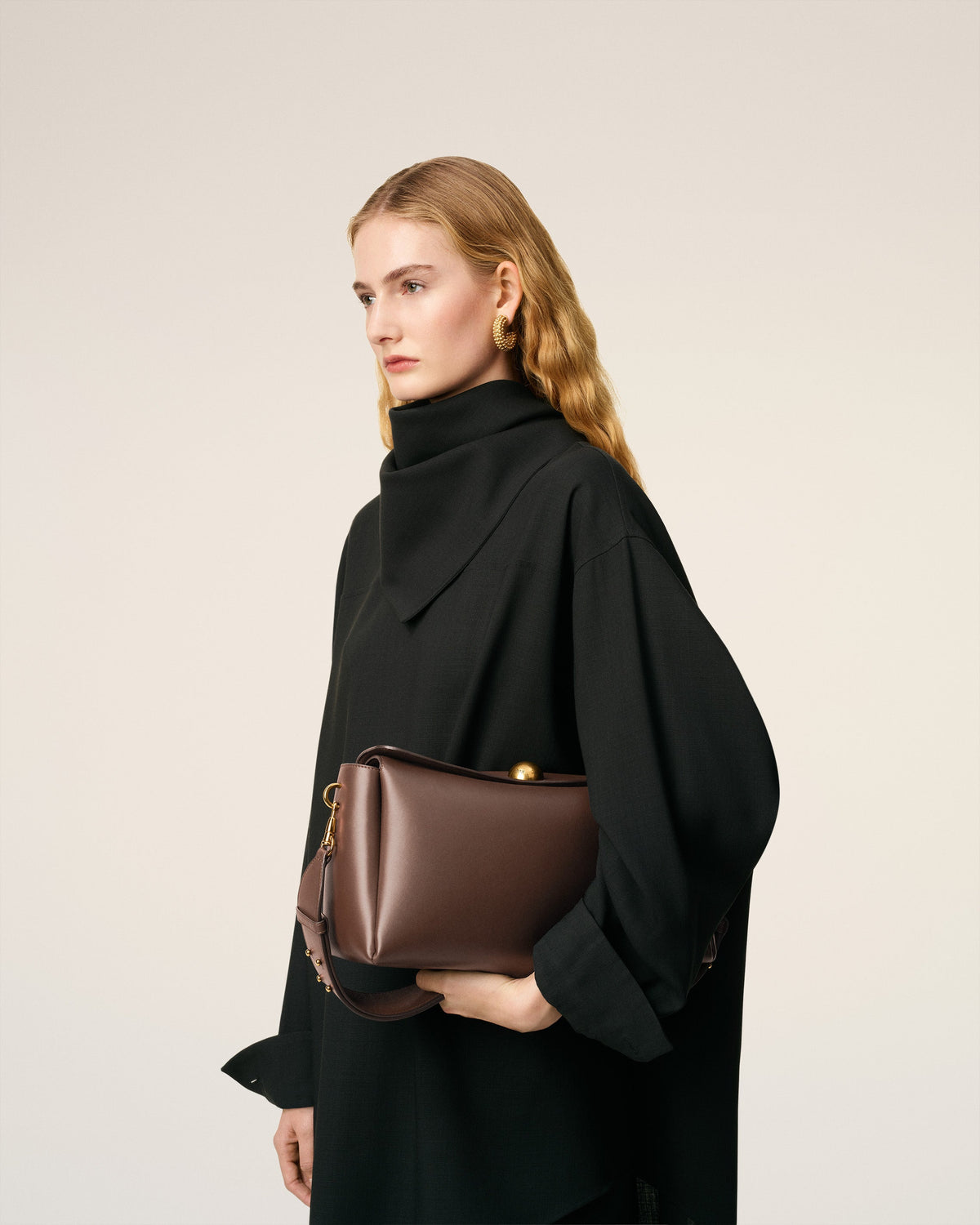 Brown Smooth Leather Carrousel Medium Bag